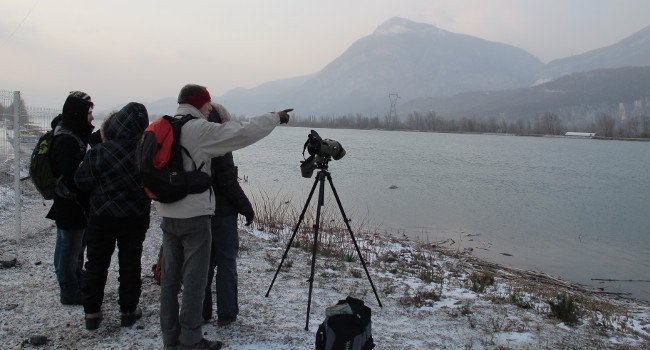 Le barrage de Saint-Egrève, LPO Isère, JMZH 2012 - Crédit photo : Clément Aude