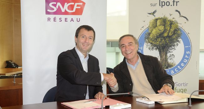 signature convention sncf lpo julien valle 650Bernard Torrin et Allain Bougrain Dubourg lors de la signature de la convention entre la SNCF Réseau et la LPO - Crédit photo : Julien Valle