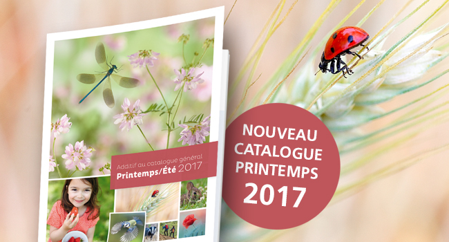 image actu catalogueprintemps2017