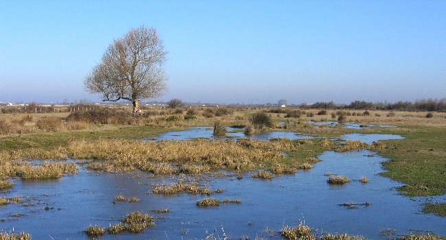 rn marais d yves prairie humide karinevennel x650