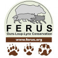 logo ferus min