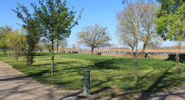 Tonte différenciée dans un parc - Crédit photo : K. Broquereau