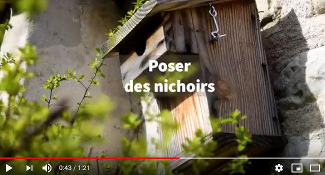 video refuges 650 350pix