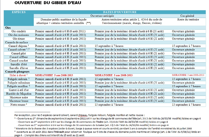 page_chasse_02_1123