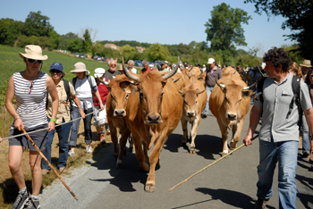 DSC 0018 Françoise ROCH Région Poitou-Charentes 350