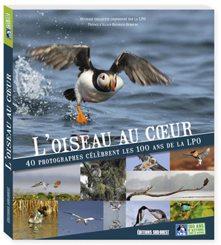 Oiseau_au_coeur_couverture