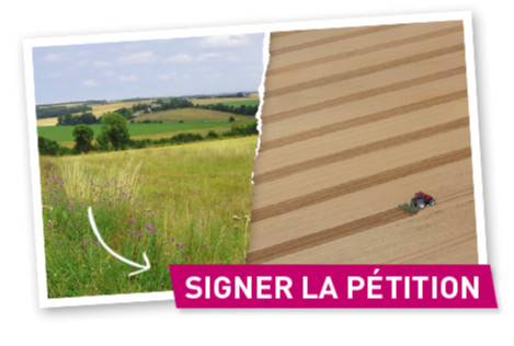 Signer la pétition