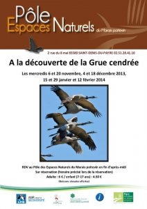 A la découverte de la Grue cendrée