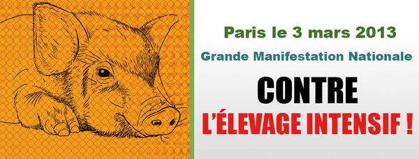 Manifestation contre l'élevage intensif !