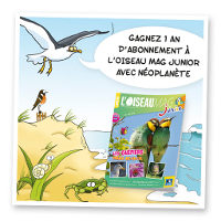 concours Oiseau Mag Junior