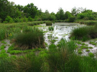 Plan d'eau : crédit photo Jean Terrisse 