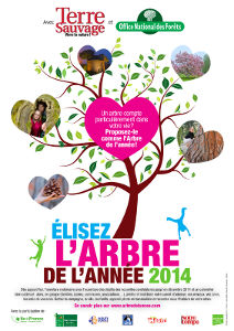 arbre de l'année 2014 