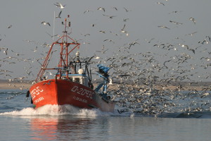 Bateau de pêche - Crédit photo : http://www.circe.info/