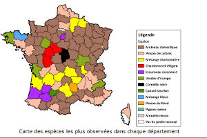 Carte des espèces les plus observées dans chaque département