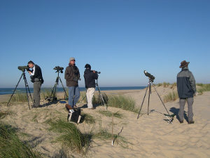 eurobirdwatch - crédit photo : Laurent Couzi 