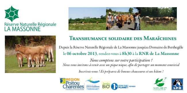 Transhumance 2013 recto