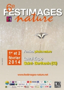 affiche festimages 