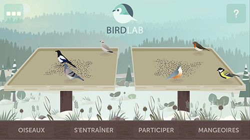 Application BirdLab