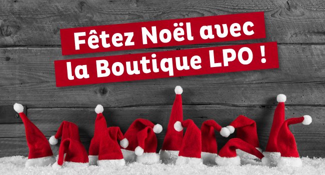 Fêtez Noël avec la Boutique LPO