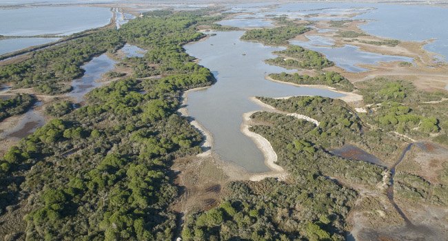 Camargue Clamadour - Crédit photo : JE. Roche / PNRC