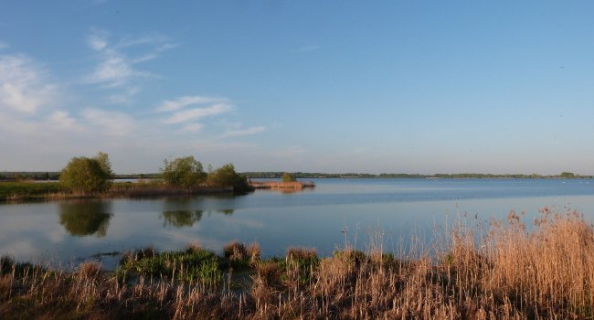 Lac d'Amance, Parc naturel régional Forêt d'Orient - Crédit photo : A. Grison