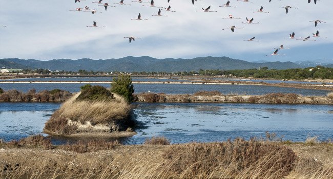 Les Salins d’Hyères - Crédit photo : O. Pastor