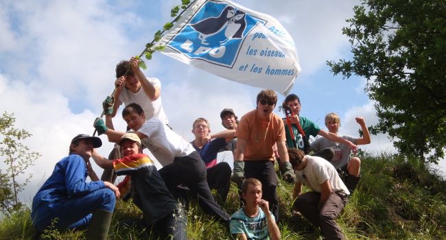 Chantier jeunes 2012, Vertus - Crédit photo : Jérémy Zwald / LPO Champagne-Ardenne