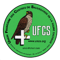 UFCS