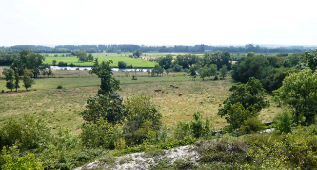 Moyenne Vallée de la Charente - Crédit photo : Justine Coulombier