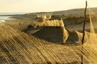 700 km de filets installés le long de la côte méditerranéenne en  Égypte, entre Gazah et la Lybie - crédit photo : Holger Schulz