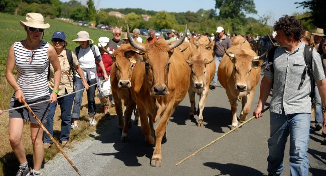 Transhumance solidaire - Crédit photo : Région Poitou-Charentes