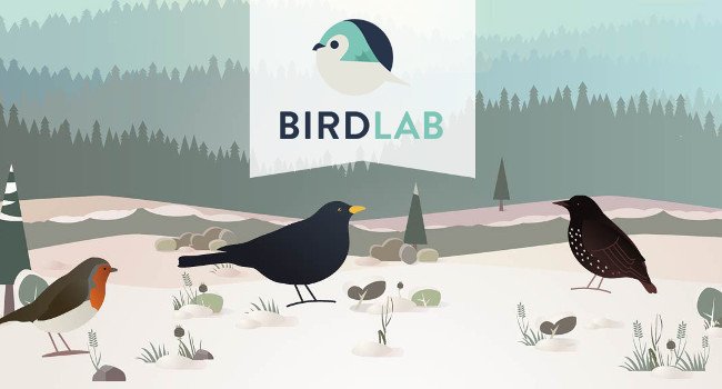 birdlab 650