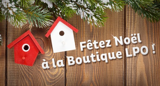 Boutique LPO Noël