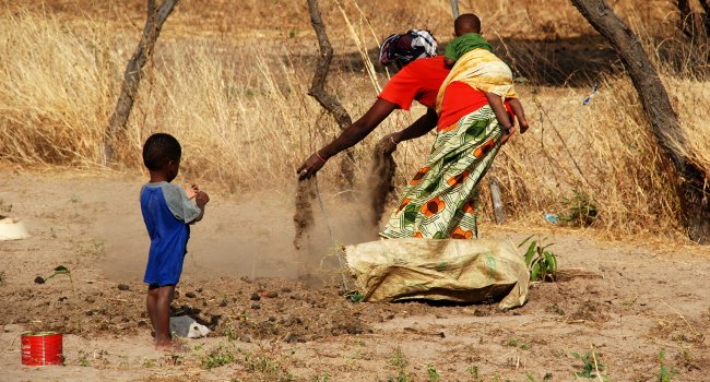 Ndiaffate, Sénégal - Crédit photo : A. Duncan