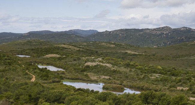 Vue du site depuis un promontoire - Crédit photo : O. Bonnenfant / OEC