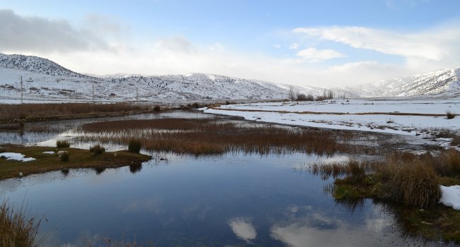 Zone potentielle pour la mise en place d'une chasse responsable - Crédit photo : SPNL