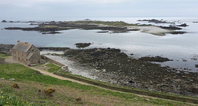 Sentiers de l’Île aux Moines - Crédit photo : Ségolène Travichon