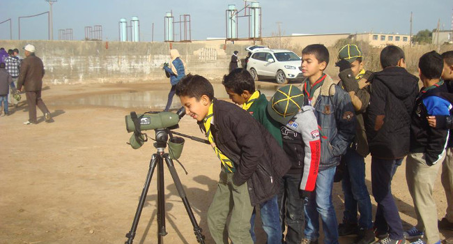 Observation des oiseaux du marais Maitiga - Crédit photo : AbdulMola Beshyah