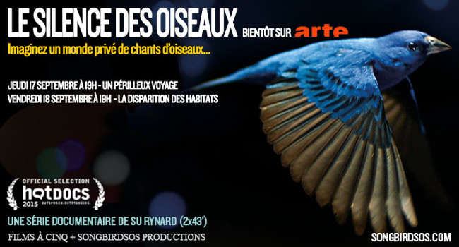 le silence des oiseaux arte 650