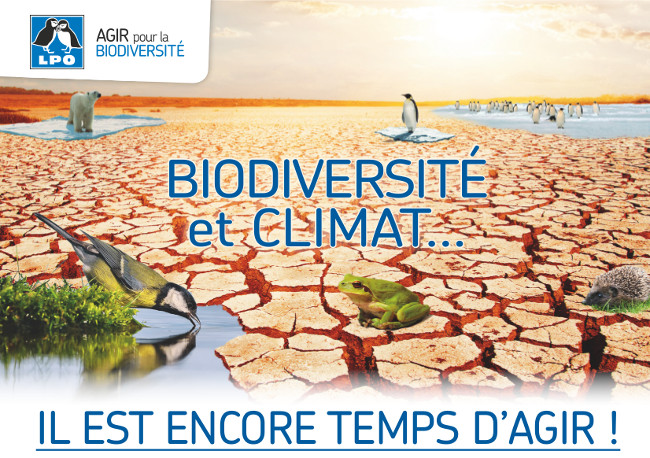 appel a dons biodiversite visuels 650