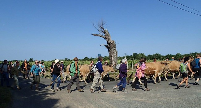 Sandra Laborde / Nature-Environnement 17