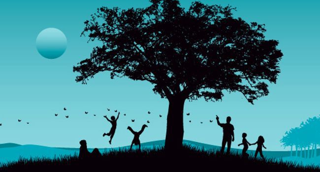 Edition 2016 de L’arbre de l’année