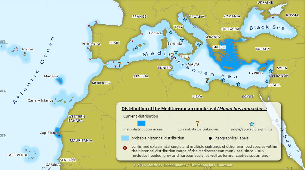 carte distribution