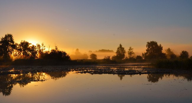 Photo déposée pour le concours 2015 : Sunrise at Marais de Sacy, France - Crédit photo : Nicolas Caron 