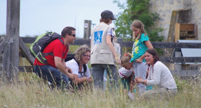 Animation nature LPO - Crédit photo : Réserve Naturelle Nationale de Moëze-Oléron