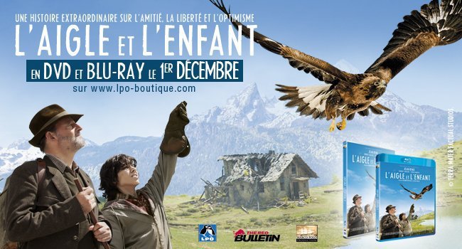 Sortie DVD et Blu-ray de L'aigle et l'enfant