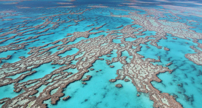 Vue aérienne de la Grande Barrière de corail, en Australie - Crédit photo : JC Photo, Shutterstock