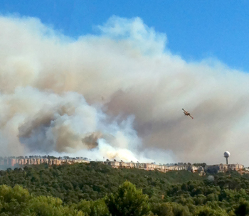 Incendie sur le plateau de Vitrolles le 10 août 2016 - Crédit photo : Odélia Riché