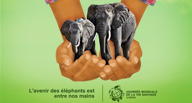 Journée mondiale de la vie sauvage 2016