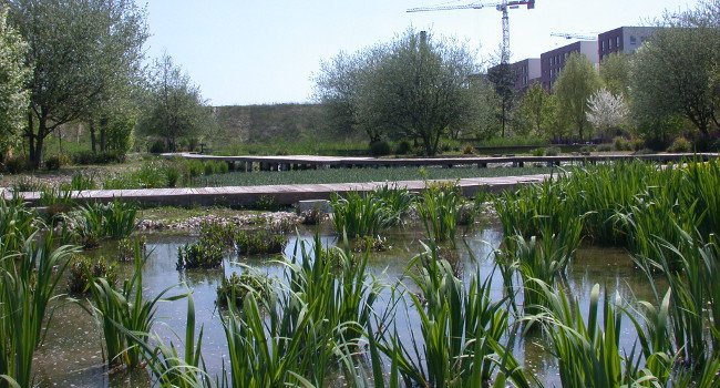 Bassin du parc Chemin de l'Ile - Crédit photo : Olivier Païkine